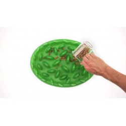 Green - mini fodertallerken til barf eller tørkost